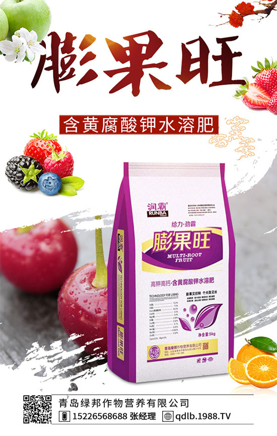 �¼����ڰ߲��İY�����¼������Ϻڰ߲���ô�Σ�