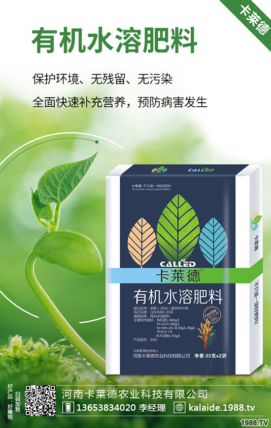 �G�}�L(zh��ng)��̫�L(zh��ng)��ô�k���G�}���޼���������Щ��