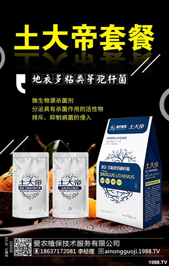 ���·ݿ��ԷNʲô�߲���2019��9���߲˷Nֲָ��!