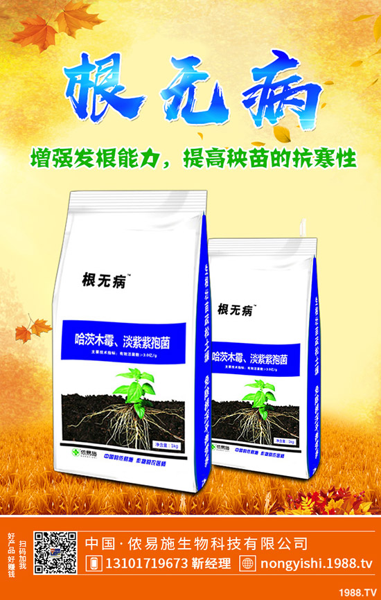     ��(gu��)�c��(ji��)ǰһ�@��؛������������һ�@�����߄�(sh��)�A(y��)�y(c��)2019-9-30