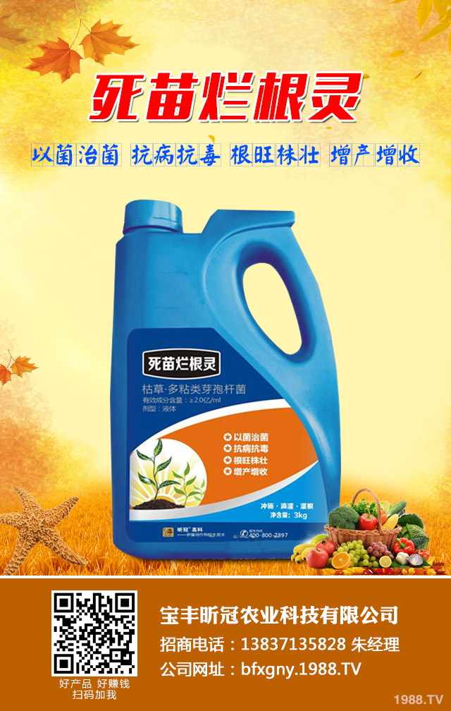 ���㶹������ô�k�����㶹������Ч���μ���