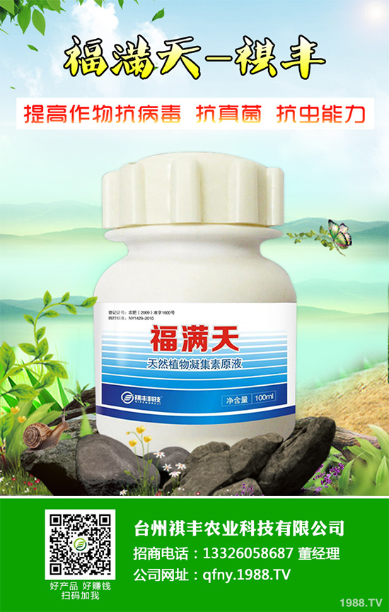 ���n������Щ��̎����Ҋ�n�ĵ�����