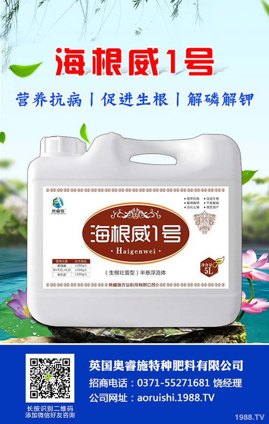 �����^����Щ��̎�����^�ĠI�B(y��ng)�rֵ��ʳ�ý�����