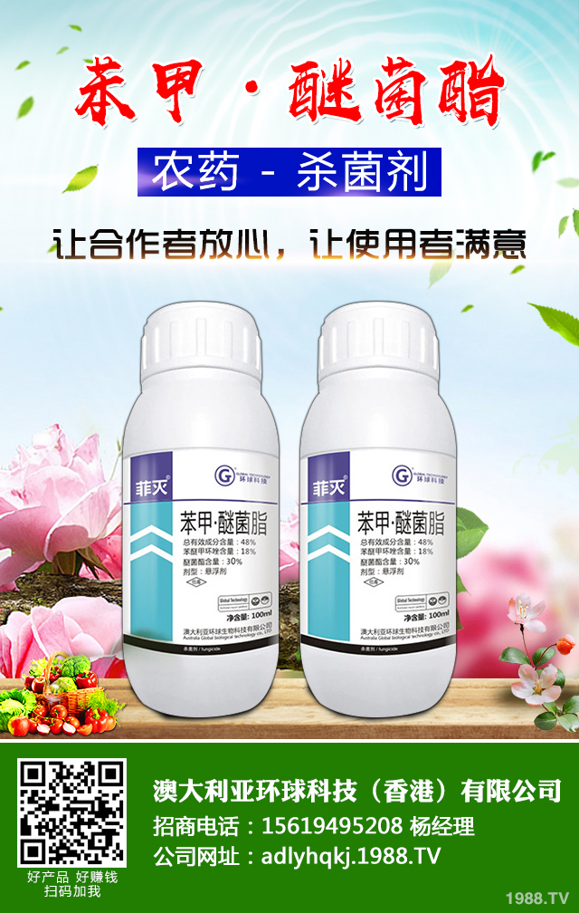 �O����֦�ɲ�����ô�k�������O�������N֦�ɲ���