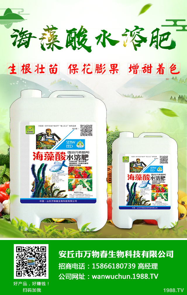 �O����֦�ɲ�����ô�k�������O�������N֦�ɲ���