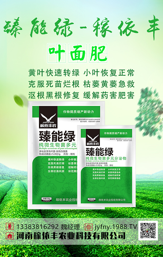 �n�Sʩ���з������n�S�Ĵ�ƌW(xu��)ʩ�ʼ��g(sh��)��