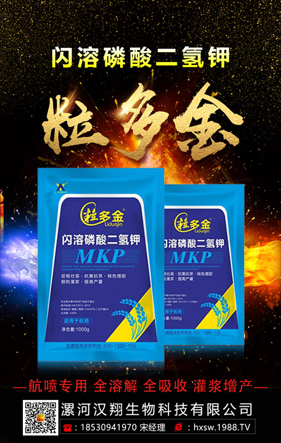 ������ηNֲ�θ߮a(ch��n)���������ӵĿƌW(xu��)�Nֲ������