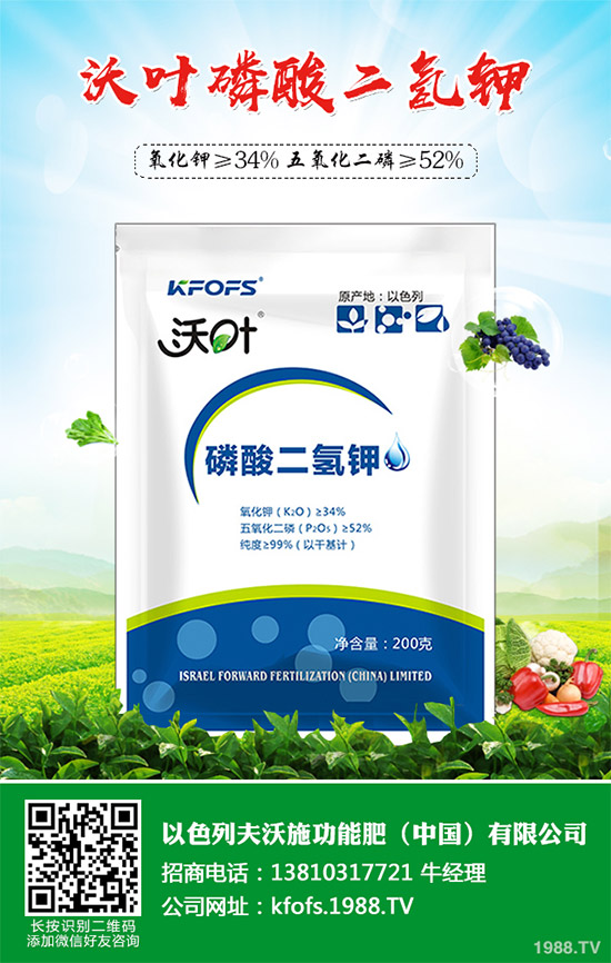 �۲˲���������ЩΣ����ԓ��η������۲˲�������Σ���c����