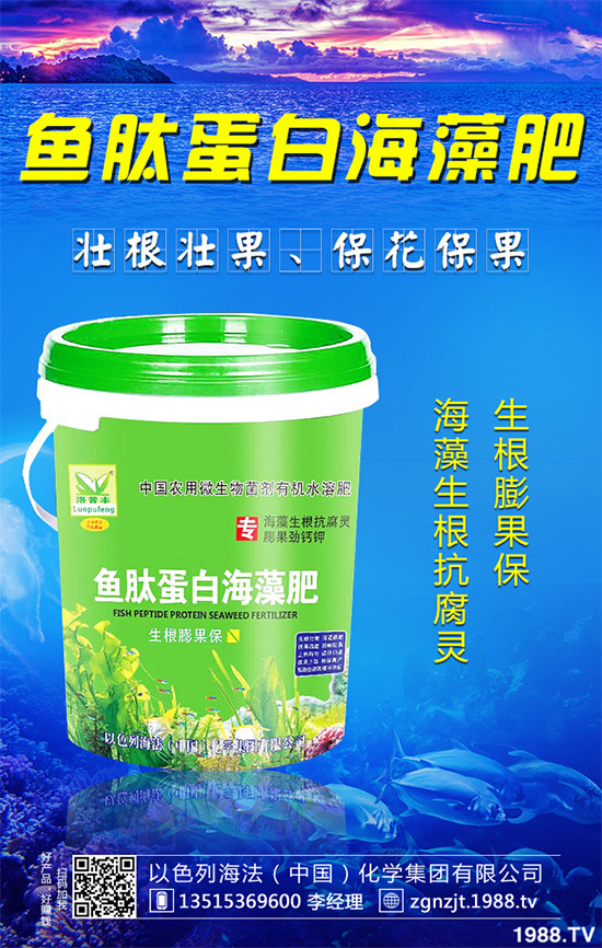 �۲˲���������ЩΣ����ԓ��η������۲˲�������Σ���c����