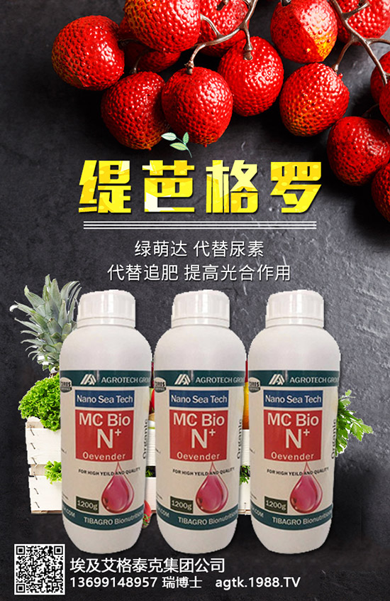 ���A�ĠI�B(y��ng)�rֵ����Щ����Ч�c��������Щ��������Щ��Ⱥʳ����