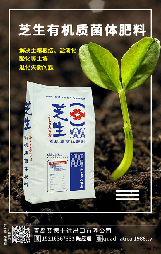 ��������Щ�I�B(y��ng)�rֵ�����ҵĹ�Ч�c������ʲô������xُ��