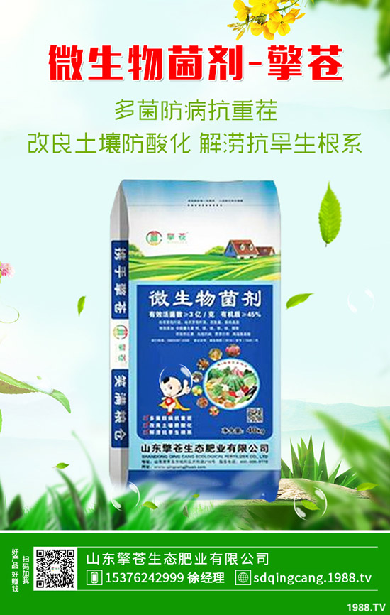     2020��1��1�ն��@��������һ�����r��(w��n)��ƫ���\����