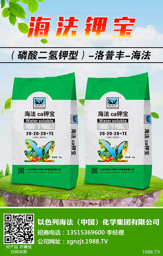 �������ö�������޼�����䶬���޼��ĕr(sh��)�g��������