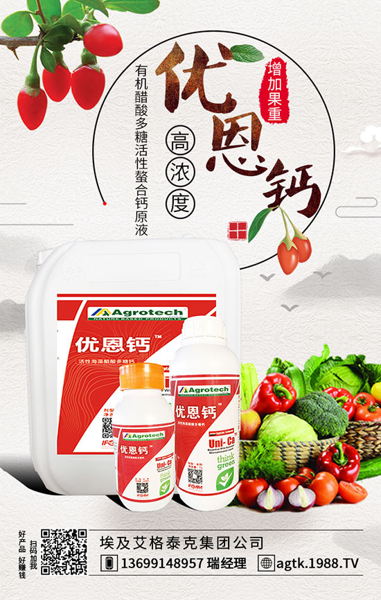 �۲˷Nֲע����� �۲˷Nֲ