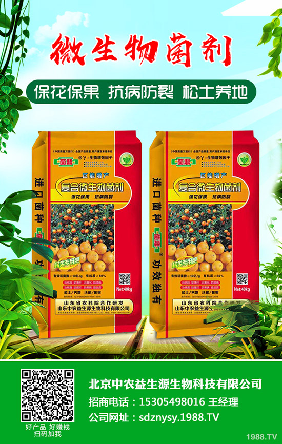     ����С���[��ηNֲ������С���[�Nֲ�r(sh��)�g���Nֲ������