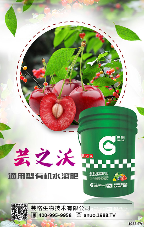 ������ԓ��ηNֲ��������ķNֲ��������