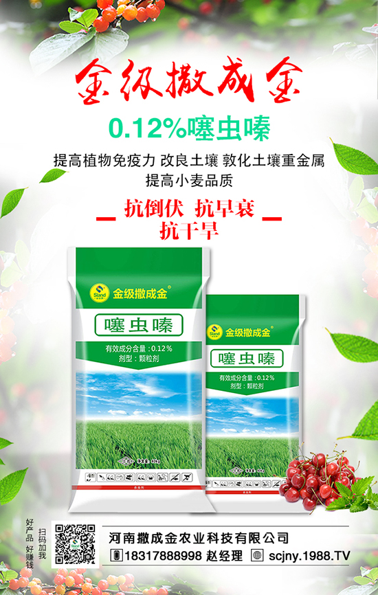 ���ˠI(y��ng)�B(y��ng)�S�������S��������ʩ�ʺ���Ҫ