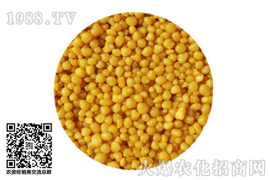 �������@�r�������߄�2020.10.10