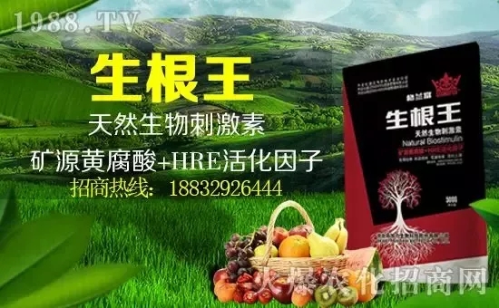 С���q�r(ji��)����(g��)�e��(b��o)�r(ji��)���^2500Ԫ/����