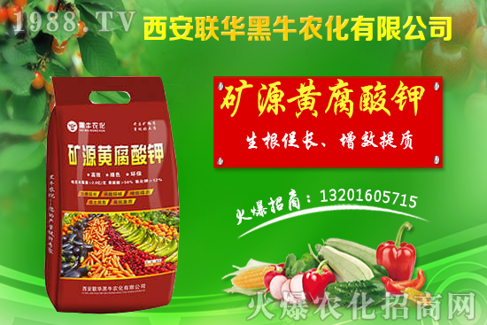 �＾����(sh��)ԓ��ι������＾����(sh��)���푪(y��ng)������Ĵ��`�^(q��)��