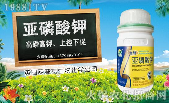 ľ��ʲô�r(sh��)��Nֲ��ľ�ϷNֲ�r(sh��)�g���Nֲ���g(sh��)Ҫ�c(di��n)��