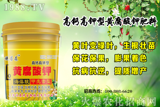 ��ݮ���L(zh��ng)��(du��)�h(hu��n)��Ҫ������Щ���＾��ݮ��ֲע�����(xi��ng)�͹�����ʽ��