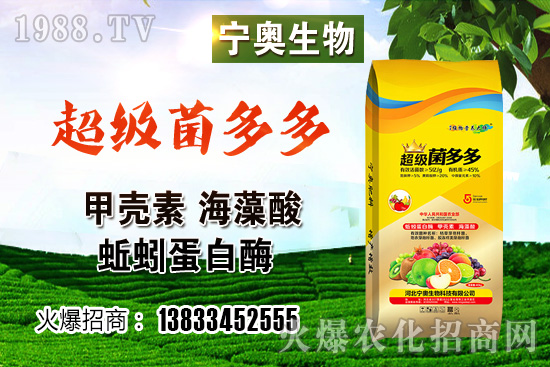 ��ɫ��Ҭ�˶����Xһ������ɫ��Ҭ�˷NֲЧ����������ӷNֲ��