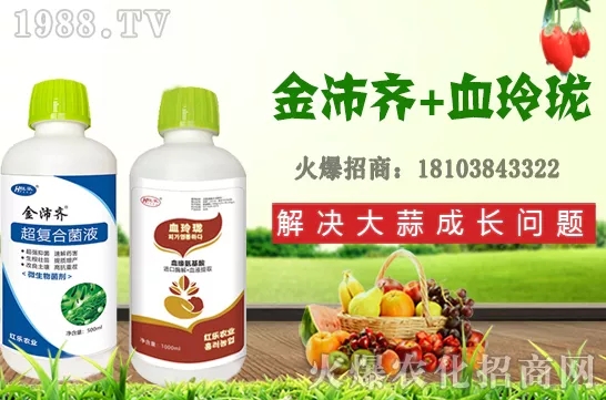     �ļ�ʯ�����L��(x��)������Щ���ļ�ʯ����ֲ���g(sh��)�������ڹ�����