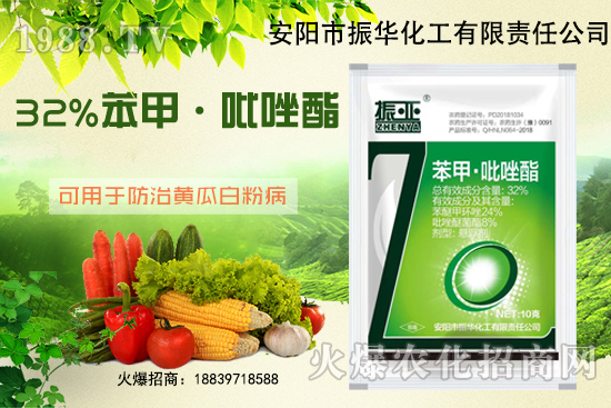 �����S�ϰ׷۲�ʲôˎ�������l(f��)���l����α��⣿