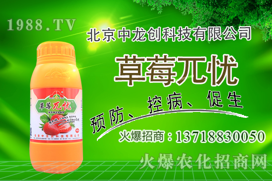 �������m�ϷNֲʲô��ˎ�������@�����׷N��Щ��ˎ����