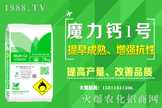 ʮ����Ѯ�m�ϷNֲʲô��ˎ������Щ��ˎ��ٍ�X�������