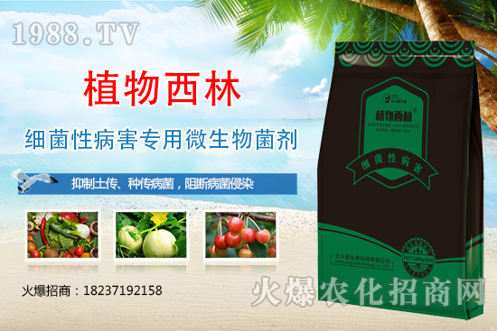 ����̿�Ҳ��Y����ʲô������̿�Ҳ��l(f��)��ԭ�򼰷���