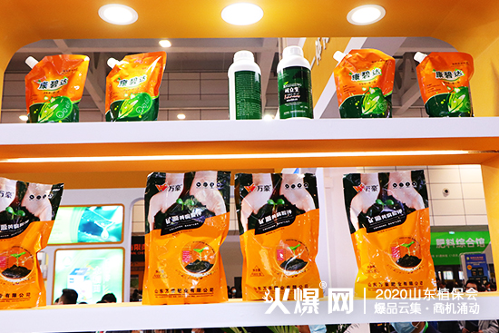 �y�ֹ��M(j��n)������(chu��ng)�x����2020ɽ�|ֲ����(hu��)���f������չλ̖(h��o)��C1T18!