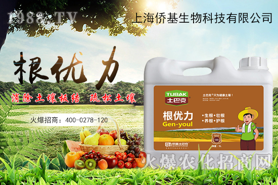 ����������ʲô�ʣ��������x������Щ��