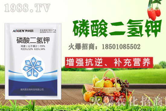 ����ʩ�D�ʺ�̎����Щ����Щ����Ҫʩ���D��ԓ��ôʩ��