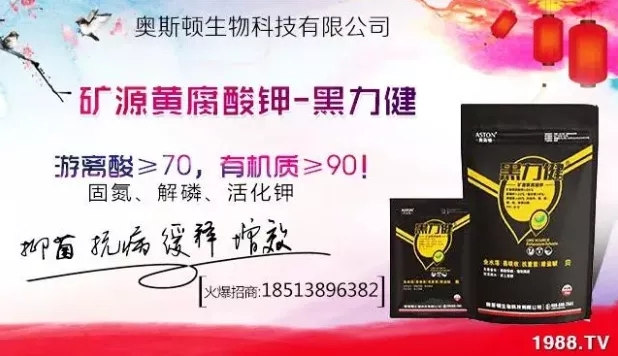 ����ʲô�r(sh��)�g���N��ע�����(xi��ng)����Щ�����ش���Nֲ�r(sh��)�g����