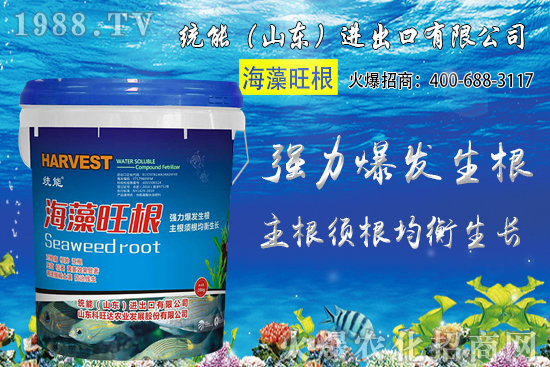 С���Nֲ�r�g��δ_����2020��С���Nֲע����Щ���}��