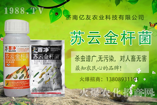 �S�ҷNֲ��(y��ng)ԓע����Щ���(xi��ng)���S�ҷNֲ�r(sh��)�g�����g������