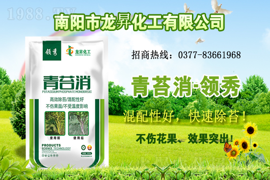 �󶹹�����(y��ng)�����r(ji��)����m(x��)�ϝq�����ش󶹃r(ji��)������