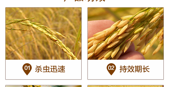 �׾S�����x��-���A����_05