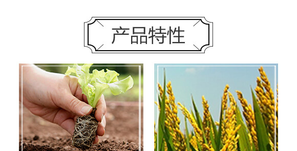 含氨基酸水溶肥料-裕丹白-歐格納科_04