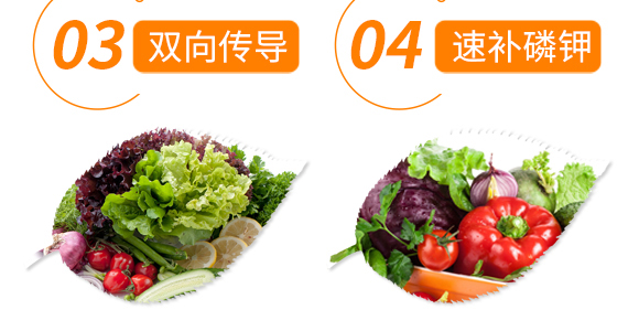 50g��������-��ʩ��_07