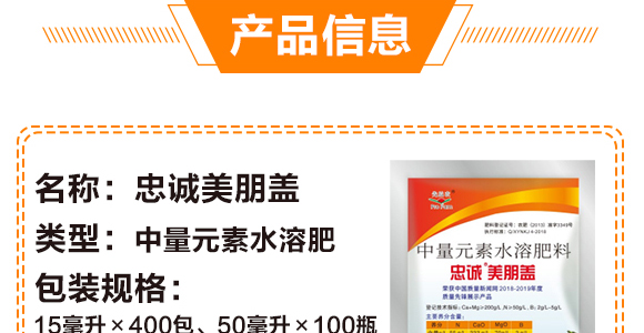 50g��������-��ʩ��_04