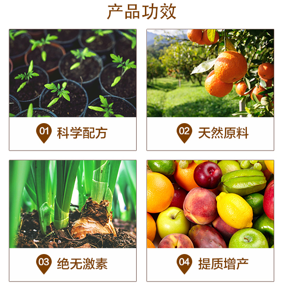 ø���������-������-�����S_03