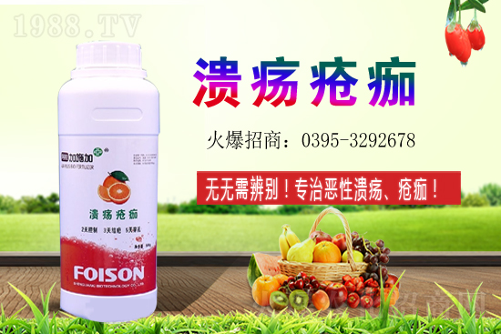 2021��ʯ��Nֲ���������ʯ�������(r��n)ǰ����ô����