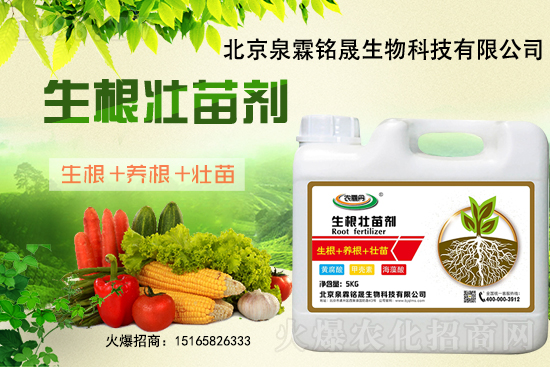 һ���y����2020-11-25�|�����ϝqѸ��