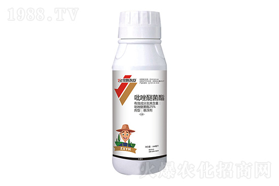 �˾����������r(ji��)���߄ݣ�11.26��