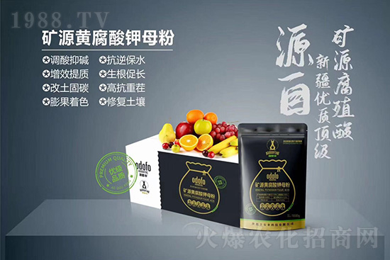 ʲô���߲��亦�����������￹��������