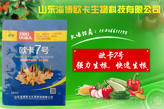 �󽪠����Ӳ���ʲô�����󽪠����Ӳ���ʲôˎ�÷���