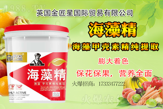 С���r��߀�����F(xi��n)��q����С�����鿂�Y(ji��)��